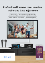 Load image into Gallery viewer, stereo audio amplifier
