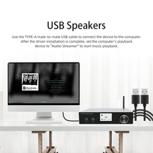 Load image into Gallery viewer, Stereo amplifier outputRCA stereo output, RCA bass output