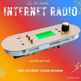 TUNERSYS WS158 DIY KIT – All-in-One Internet Radio & Bluetooth Streamer Motherboard