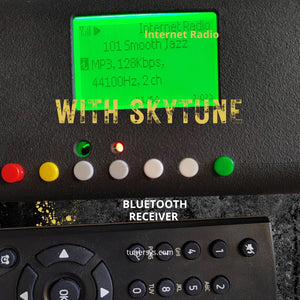 Portable internet radio