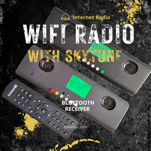 Portable internet radio