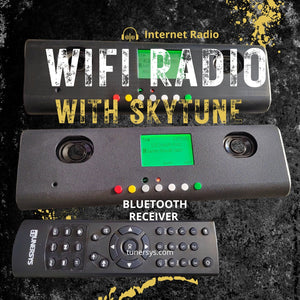 Portable internet radio