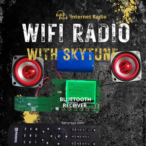 Sintonizzatore radio Internet WiFi Amplificatore stereo Ricevitore di rete Bluetooth
