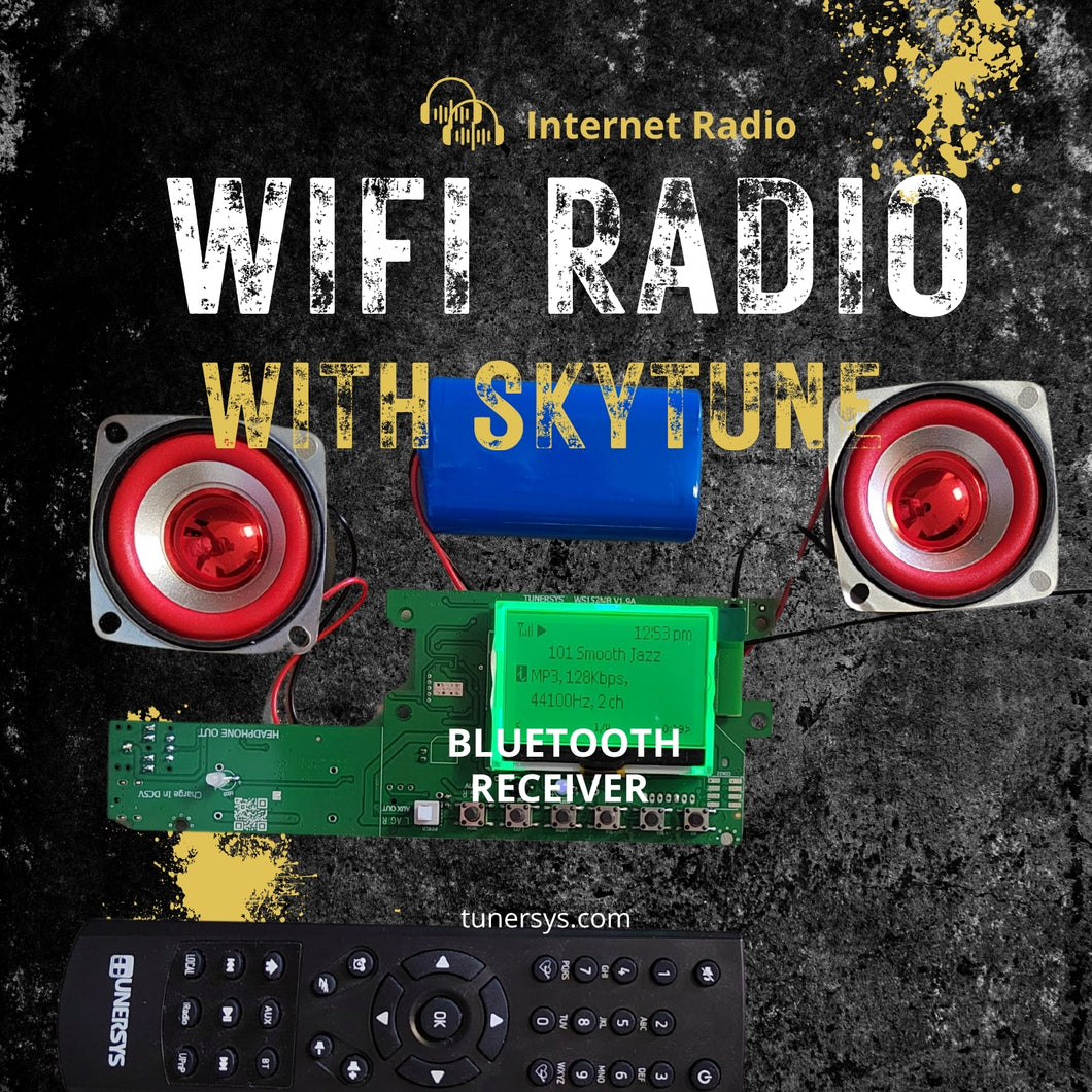 Sintonizzatore radio Internet WiFi Amplificatore stereo Ricevitore di rete Bluetooth