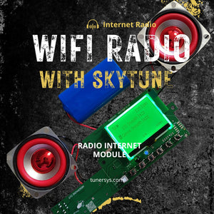 Sintonizzatore radio Internet WiFi Amplificatore stereo Ricevitore di rete Bluetooth