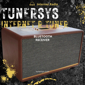 Sintonizador de radio por Internet WiFi Amplificador estéreo Receptor de red Bluetooth