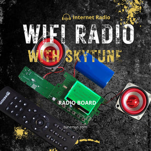 Sintonizzatore radio Internet WiFi Amplificatore stereo Ricevitore di rete Bluetooth