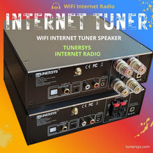Load image into Gallery viewer, TUNERSYS WS161 – HiFi Network Radio Streamer with Built-in Amplifier &amp; RCA Output