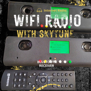 Portable internet radio