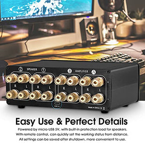 Audio VU3 Dual Analog VU Meter, 2-Way Amplifier/Speaker Switch, Audio Switcher Box with DB Panel Display