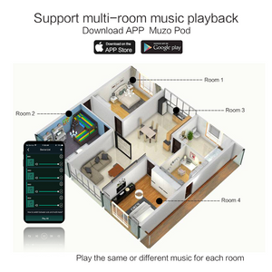 Diy WiFi para varias habitaciones 2.4G y 5G Airplay2 | Tablero amplificador inalámbrico 240W Bluetooth 5.0